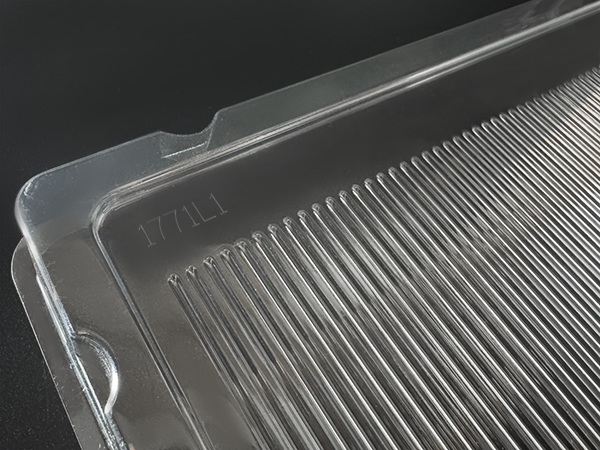 ddr plastic box tray packaging 1771l1 